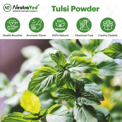 Tulsi Powder image 5